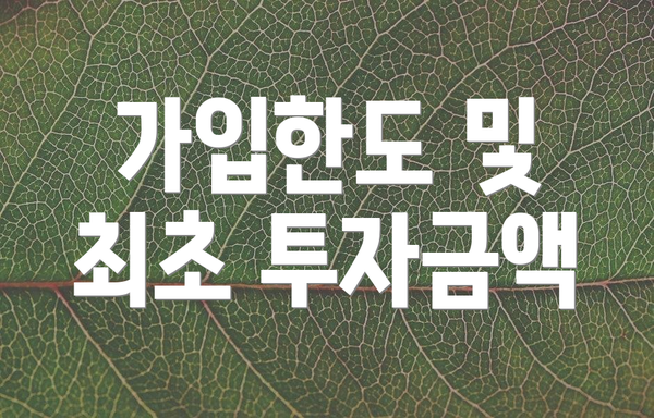 가입한도 및 최초 투자금액