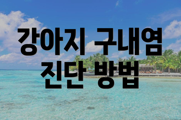 강아지 구내염 진단 방법