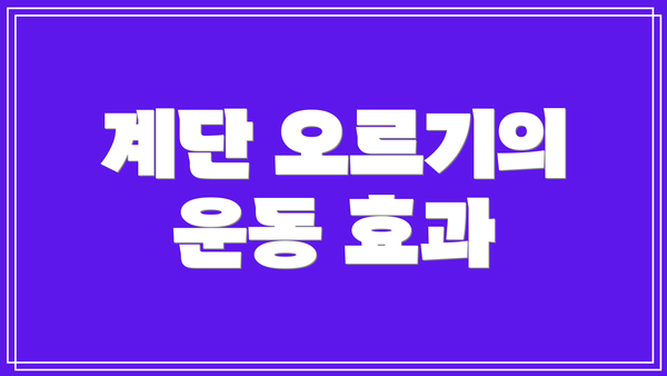 계단 오르기의 운동 효과