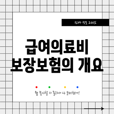 급여의료비 보장보험의 개요