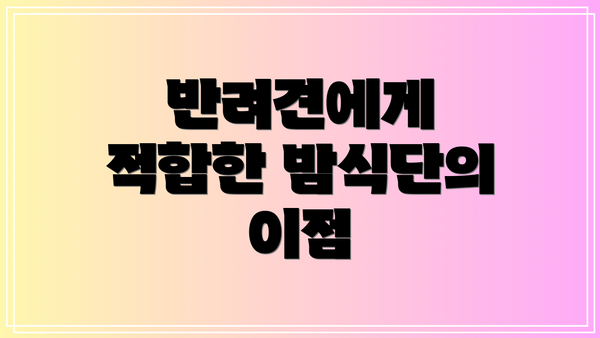 반려견에게 적합한 밤식단의 이점