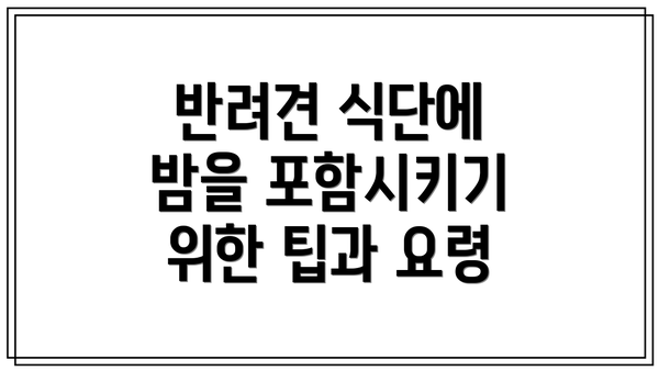 반려견 식단에 밤을 포함시키기 위한 팁과 요령