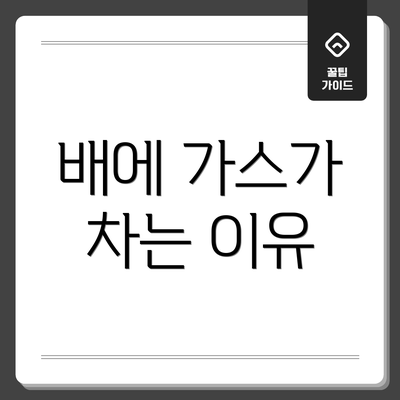 배에 가스가 차는 이유