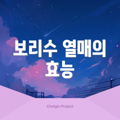 보리수 열매의 효능
