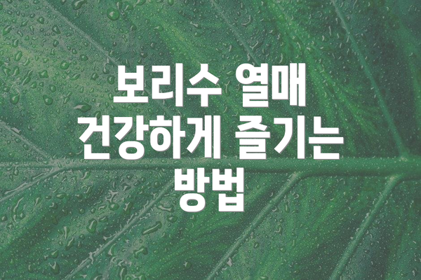 보리수 열매 건강하게 즐기는 방법
