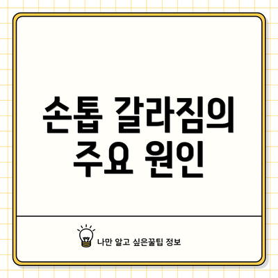 손톱 갈라짐의 주요 원인