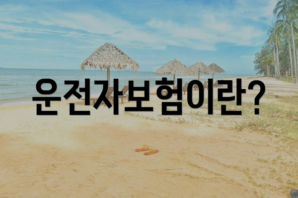 운전자보험이란?