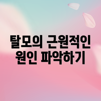 탈모의 근원적인 원인 파악하기