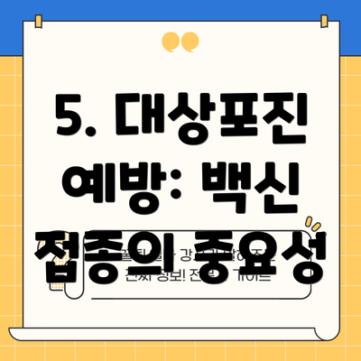 5. 대상포진 예방: 백신 접종의 중요성