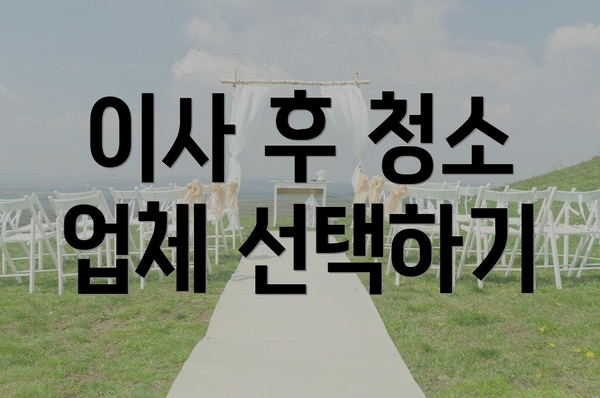 이사 후 청소 업체 선택하기
