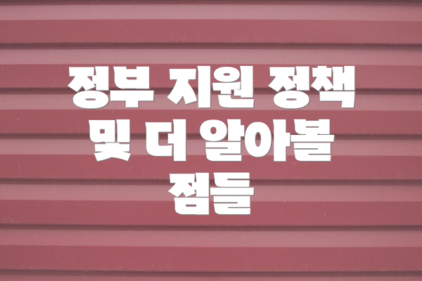 정부 지원 정책 및 더 알아볼 점들
