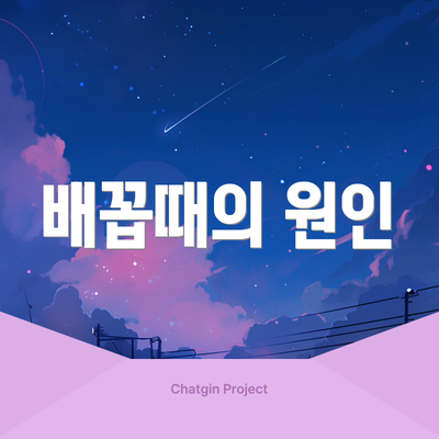 배꼽때의 원인