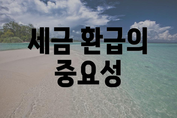 세금 환급의 중요성