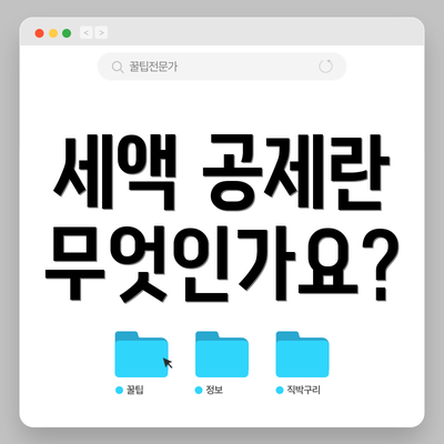 세액 공제란 무엇인가요?