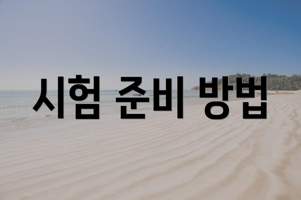 시험 준비 방법
