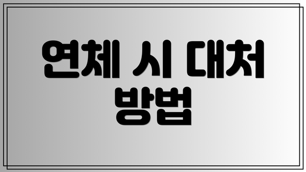 연체 시 대처 방법