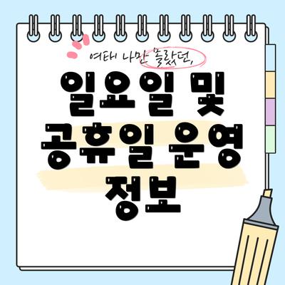 일요일 및 공휴일 운영 정보