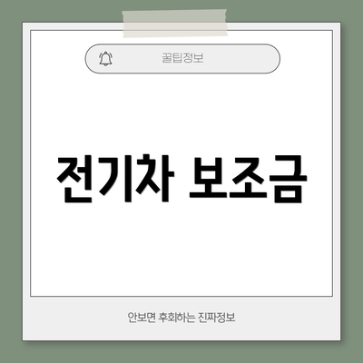 전기차 보조금