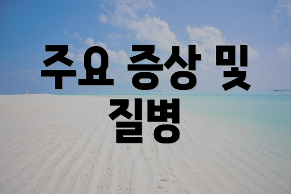 주요 증상 및 질병