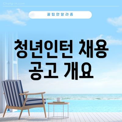 청년인턴 채용 공고 개요