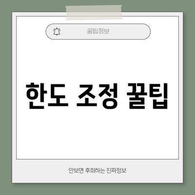한도 조정 꿀팁