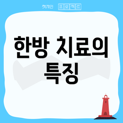 한방 치료의 특징