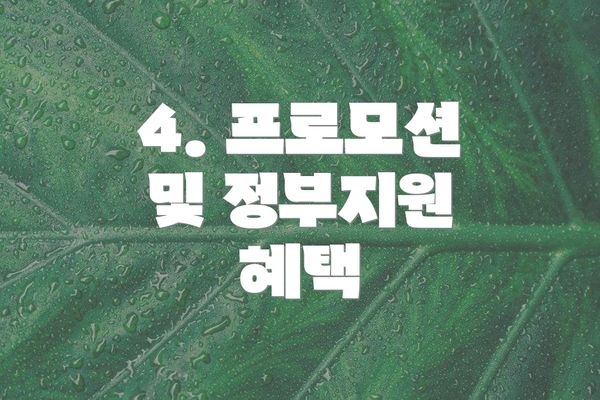 4. 프로모션 및 정부지원 혜택