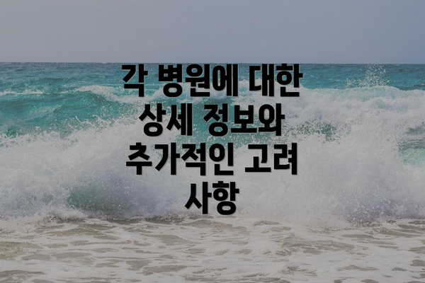 각 병원에 대한 상세 정보와 추가적인 고려 사항