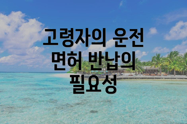 고령자의 운전 면허 반납의 필요성