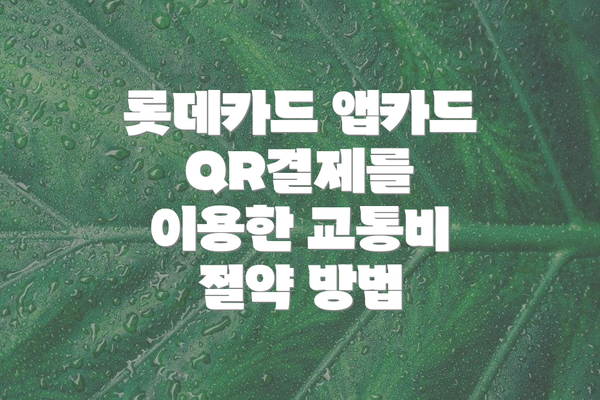 롯데카드 앱카드 QR결제를 이용한 교통비 절약 방법
