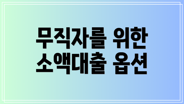 무직자를 위한 소액대출 옵션