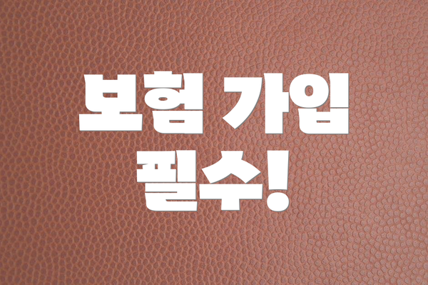 보험 가입 필수!