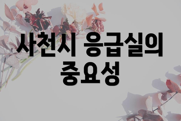 사천시 응급실의 중요성