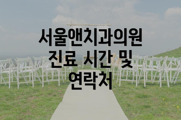 서울앤치과의원 진료 시간 및 연락처