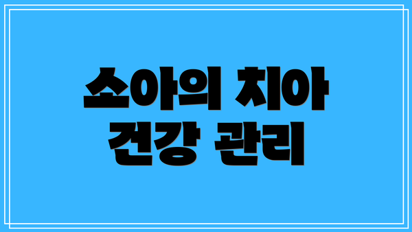 소아의 치아 건강 관리