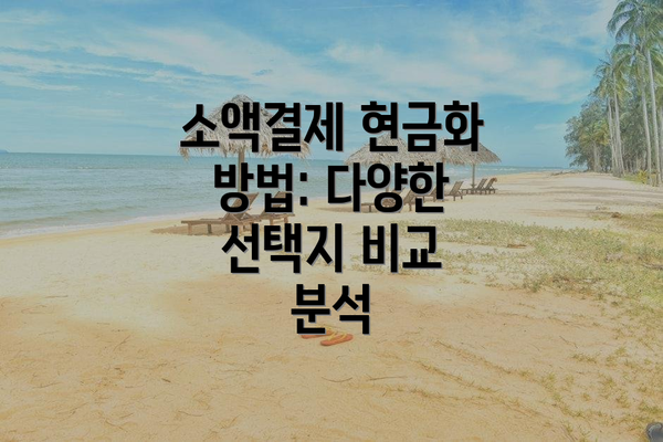 소액결제 현금화 방법: 다양한 선택지 비교 분석