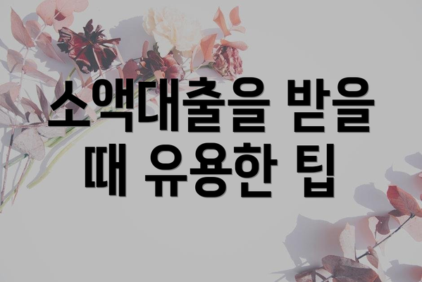 소액대출을 받을 때 유용한 팁