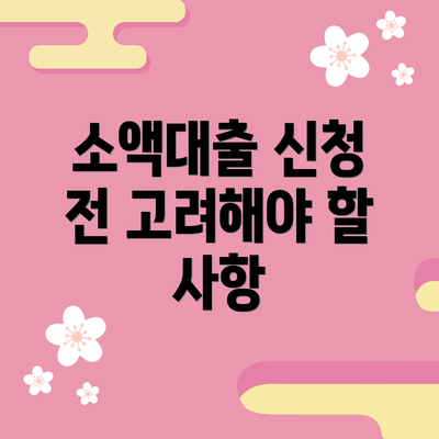 소액대출 신청 전 고려해야 할 사항