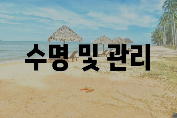 수명 및 관리