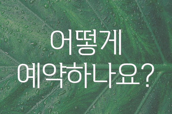 어떻게 예약하나요?