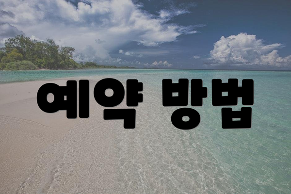 예약 방법