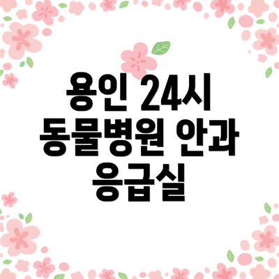 용인 24시 동물병원 안과 응급실