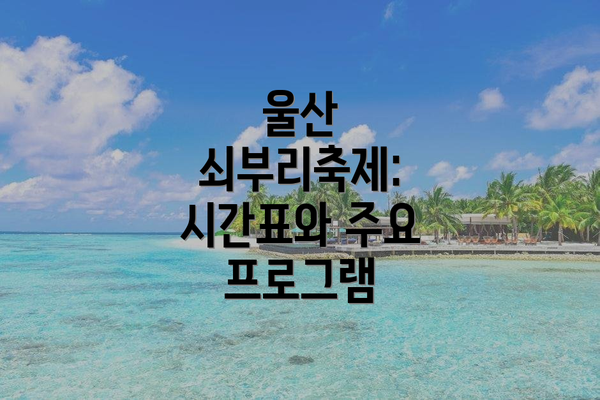 울산 쇠부리축제: 시간표와 주요 프로그램