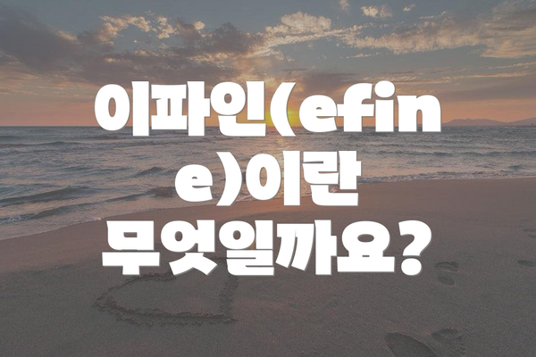이파인(efine)이란 무엇일까요?