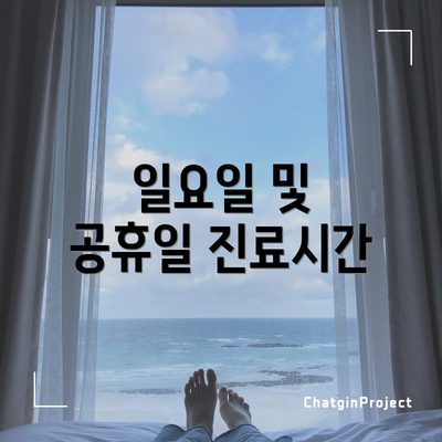 일요일 및 공휴일 진료시간
