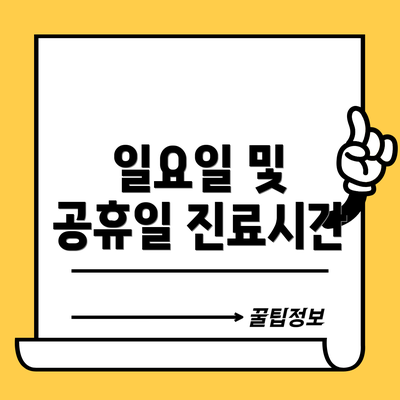일요일 및 공휴일 진료시간