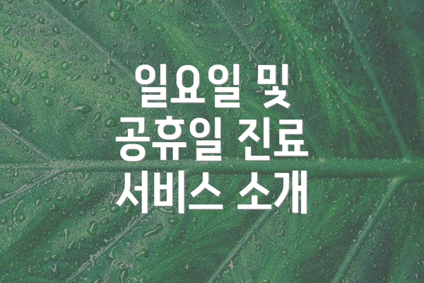 일요일 및 공휴일 진료 서비스 소개