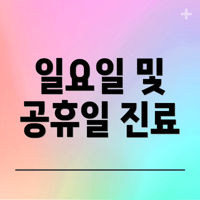 일요일 및 공휴일 진료