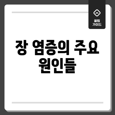 장 염증의 주요 원인들