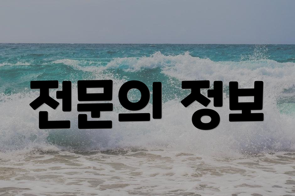 전문의 정보